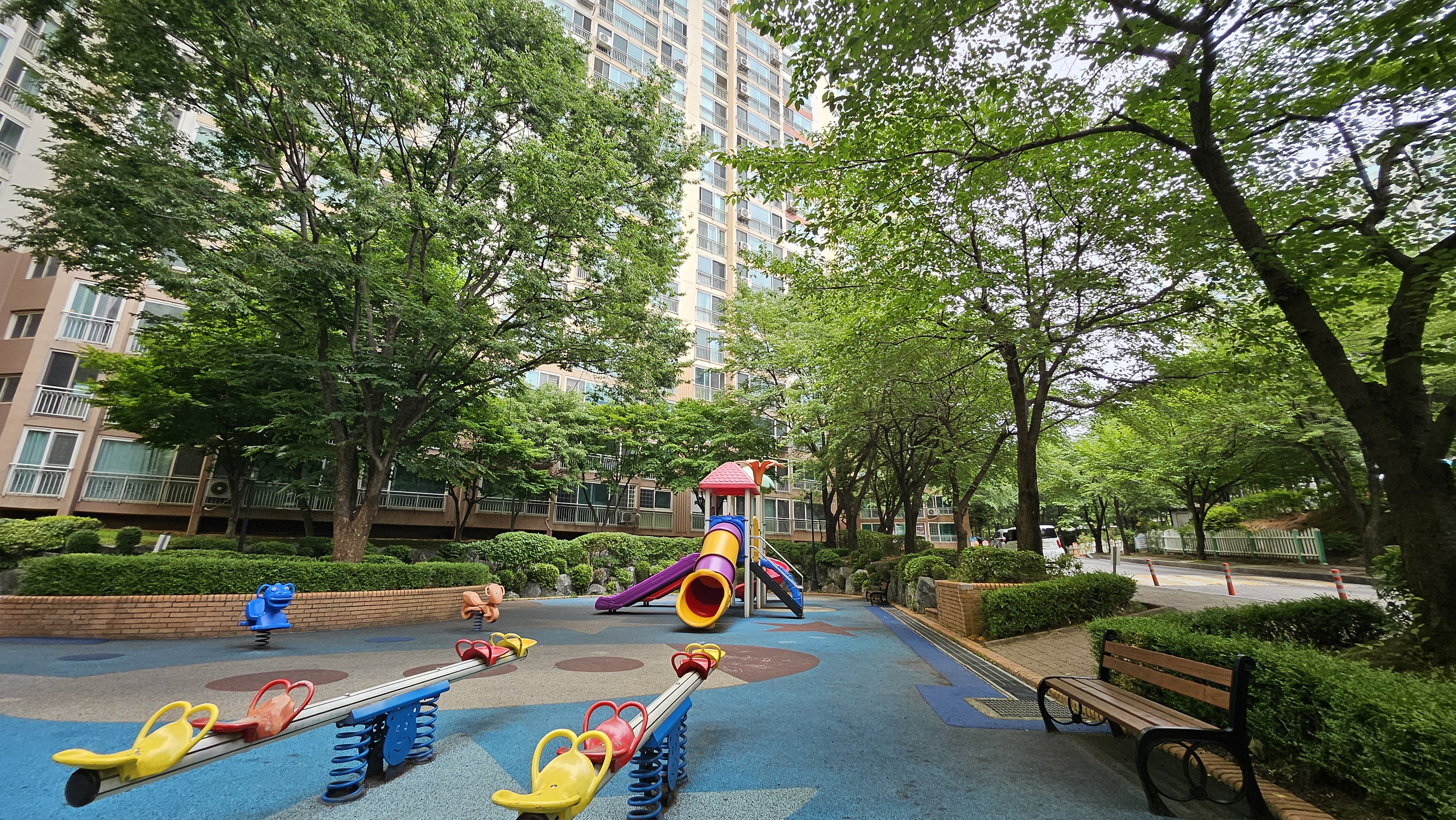 20260624_140451.jpg